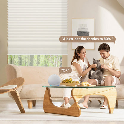 Kincmo Light Filtering Motorized Cellular Shades | Double-Cell