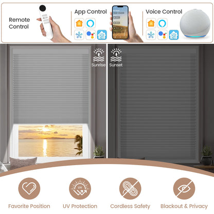 Kincmo Light Filtering Motorized Cellular Shades