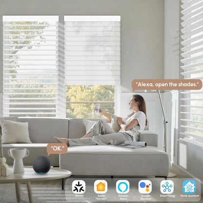 Kincmo Motorized Light Filtering Sheer Shades 75% Blackout - Soft