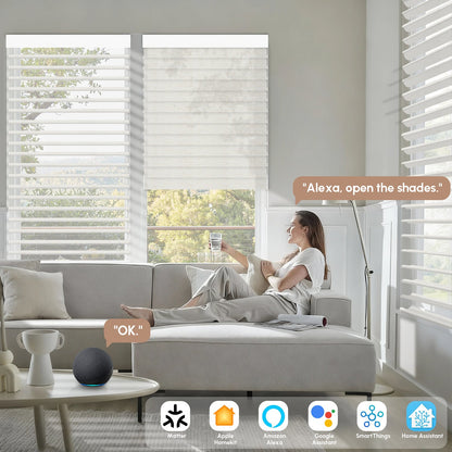 Kincmo Motorized Light Filtering Sheer Shades 75% Blackout - Linen