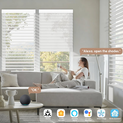 Kincmo Motorized Light Filtering Sheer Shades 70% Blackout - Voile