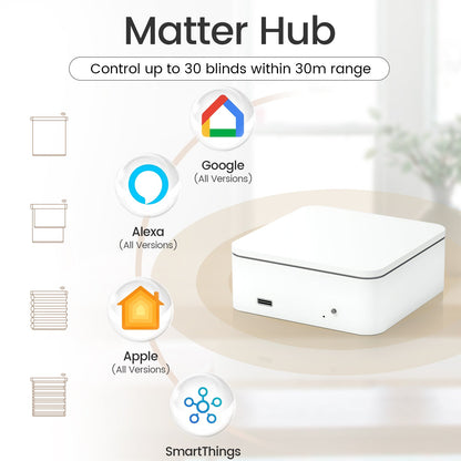 Matter Hub